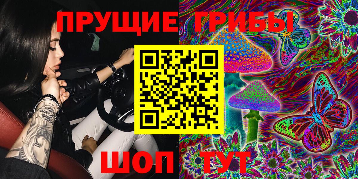Петропавловск-Камчатский  Псилоцибиновые грибы Psilocybine cubensis  Вход с VPN  Галлюциногенные грибы Cubensis 